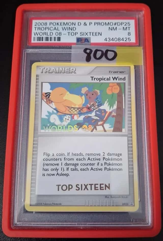 Tropical Wind