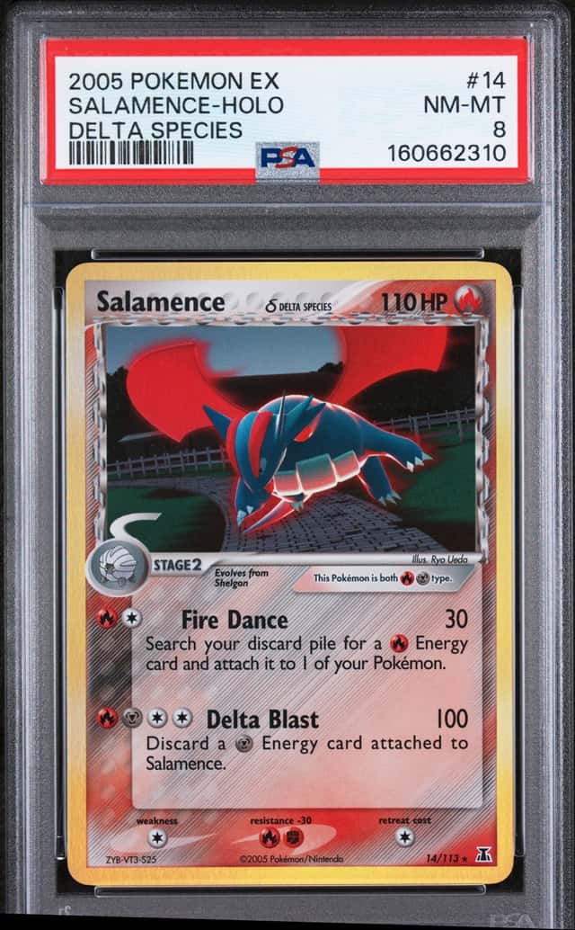 Salamence