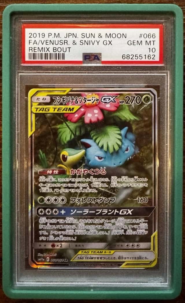 Venusaur & Snivy GX