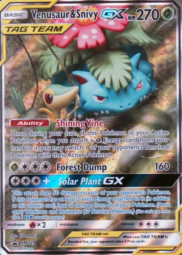 Base / no variant