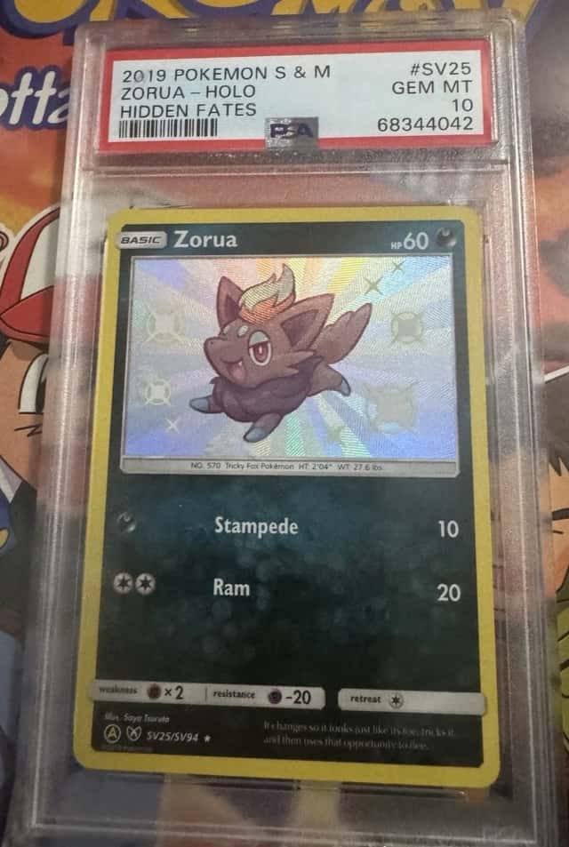 Zorua
