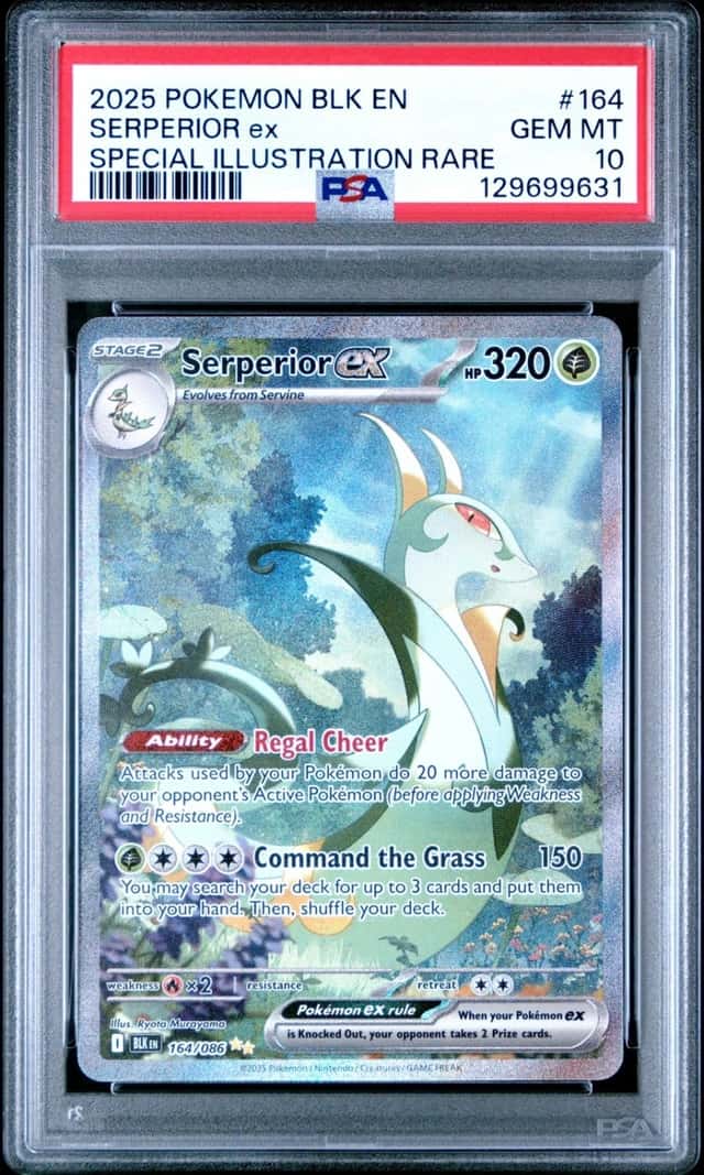 SERPERIOR ex