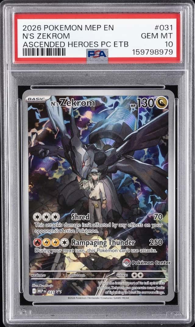 N's Zekrom