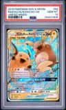 Raichu & Alolan Raichu Gx