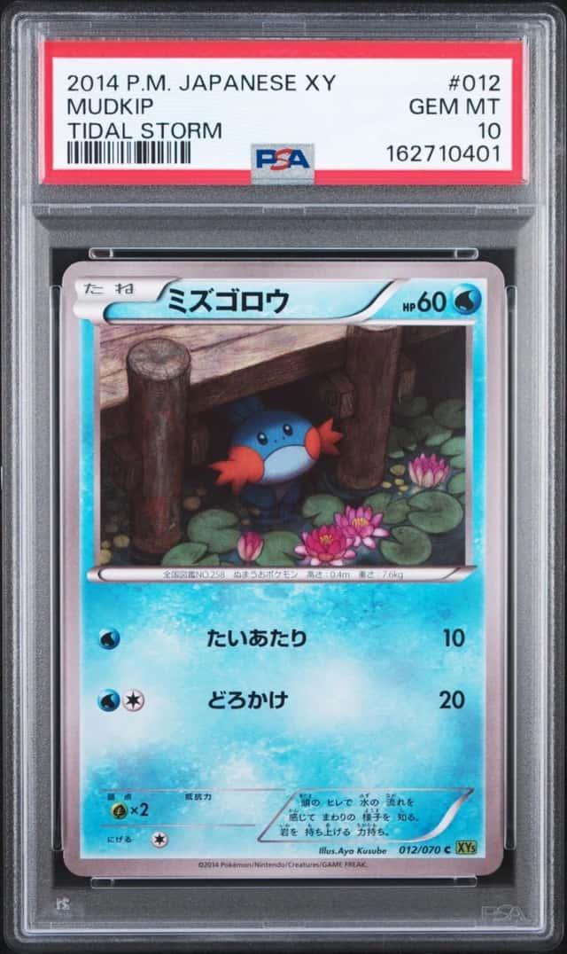 Mudkip