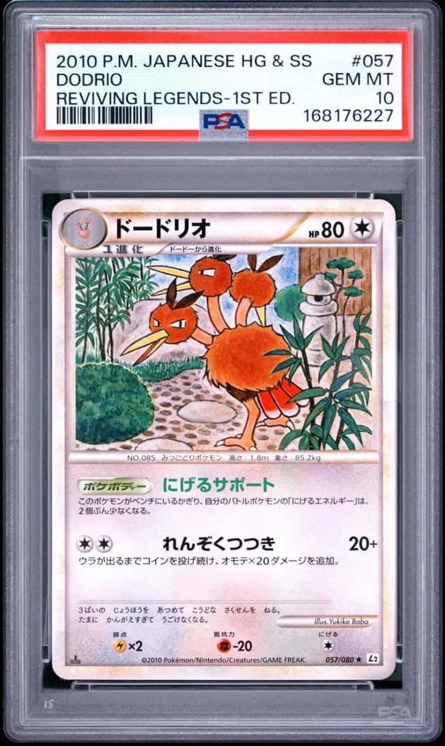 Dodrio