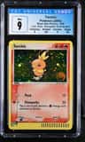 Torchic