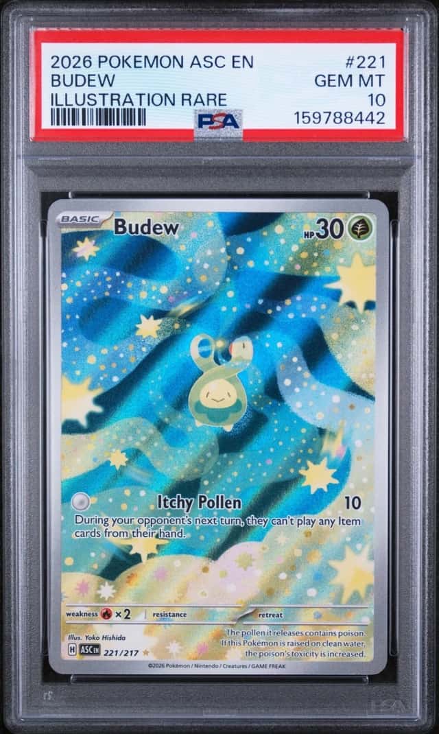 Budew