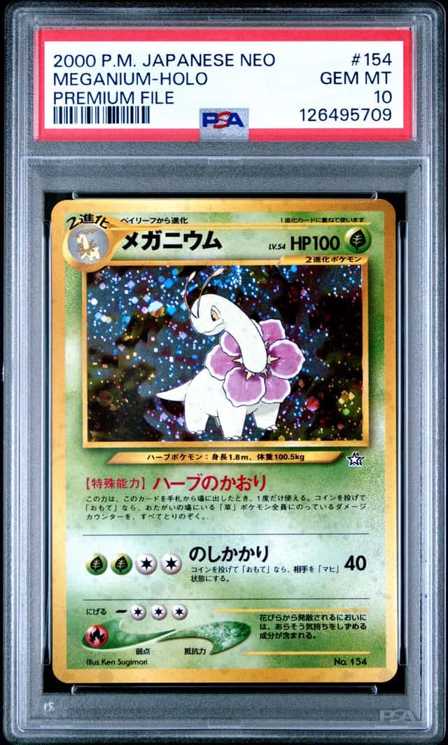 PTCG 宝可梦 PSA 10分 大竺葵 1999 VOL.1-03 无 NEOL NEO纪念卡牌夹 Vol.1&Vol.2&Vol.3 日文