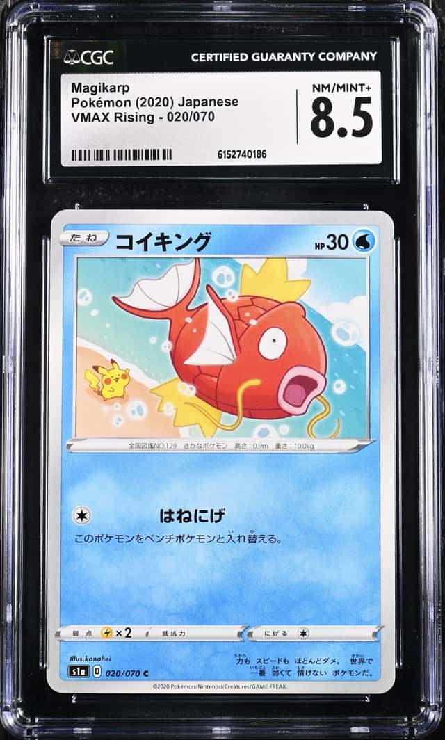 Magikarp