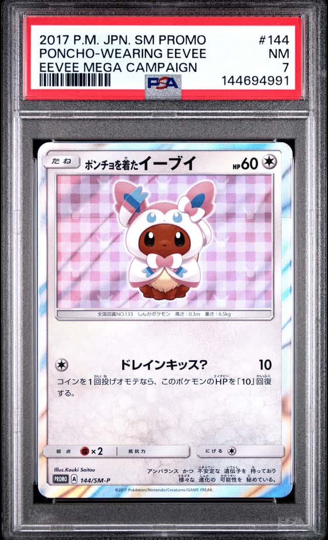 Poncho-Wearing Eevee