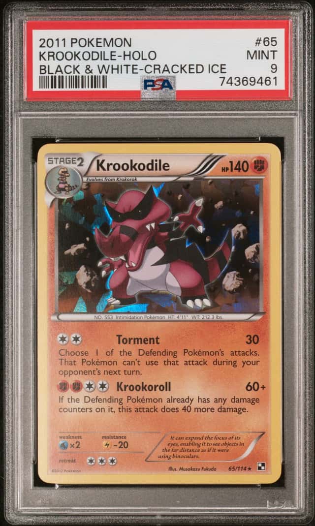 Krookodile