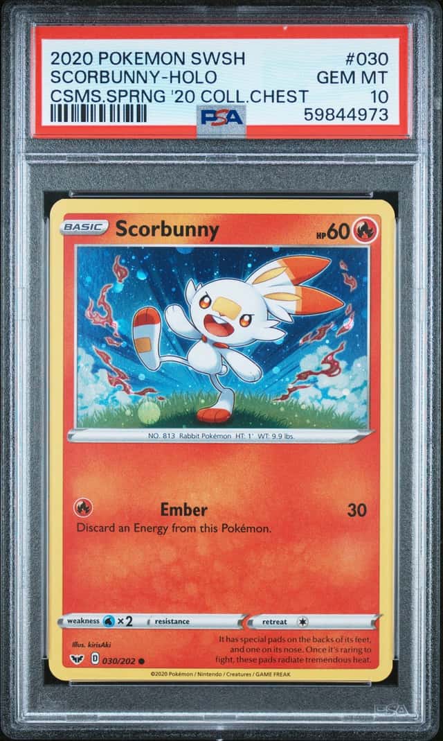 Scorbunny
