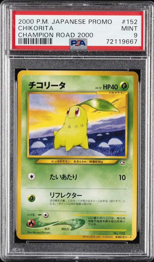Chikorita