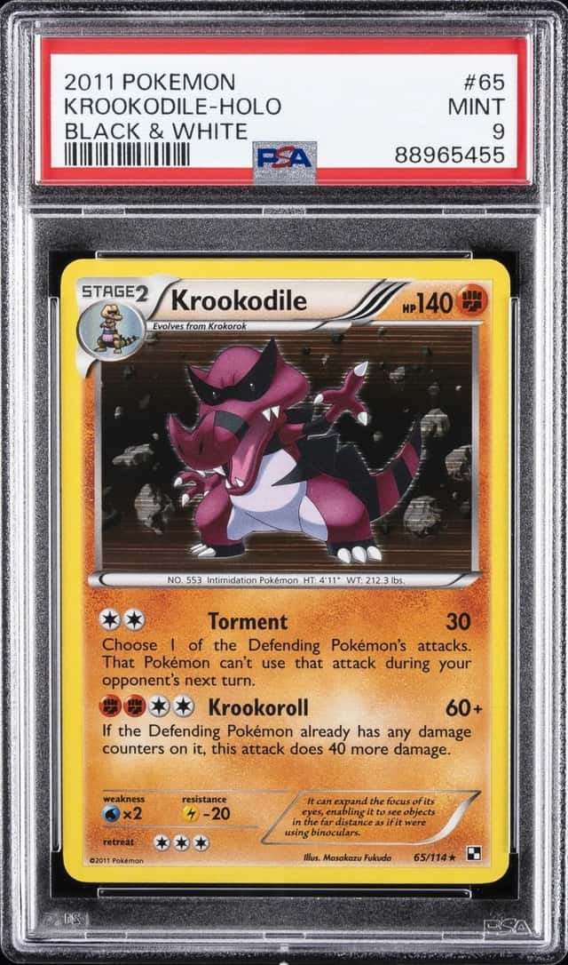Krookodile