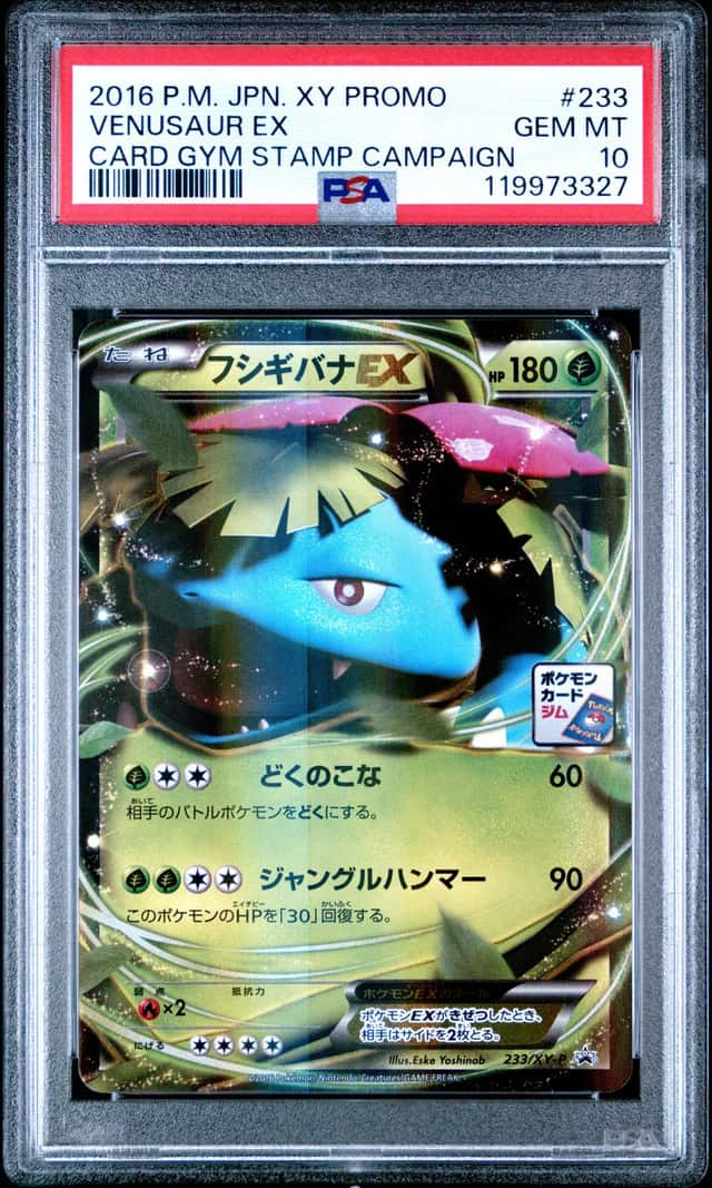 Venusaur EX