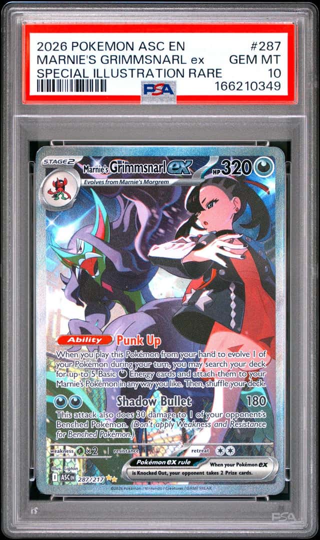 MARNIE'S GRIMMSNARL ex
