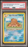 Light Piloswine