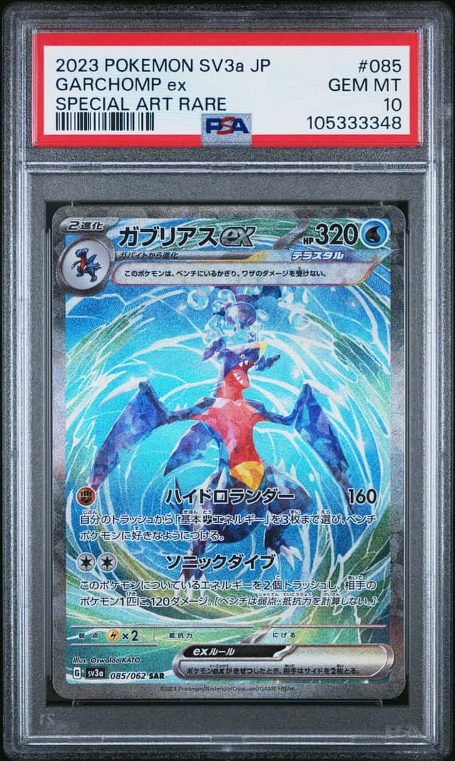 GARCHOMP ex