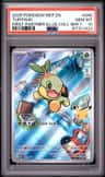 Turtwig