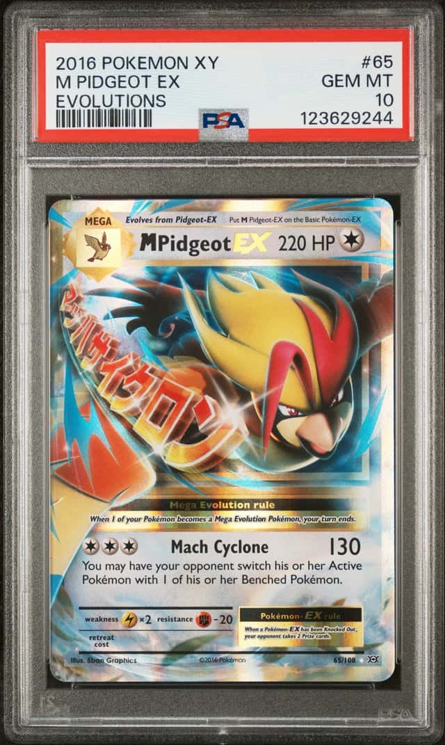 M Pidgeot EX