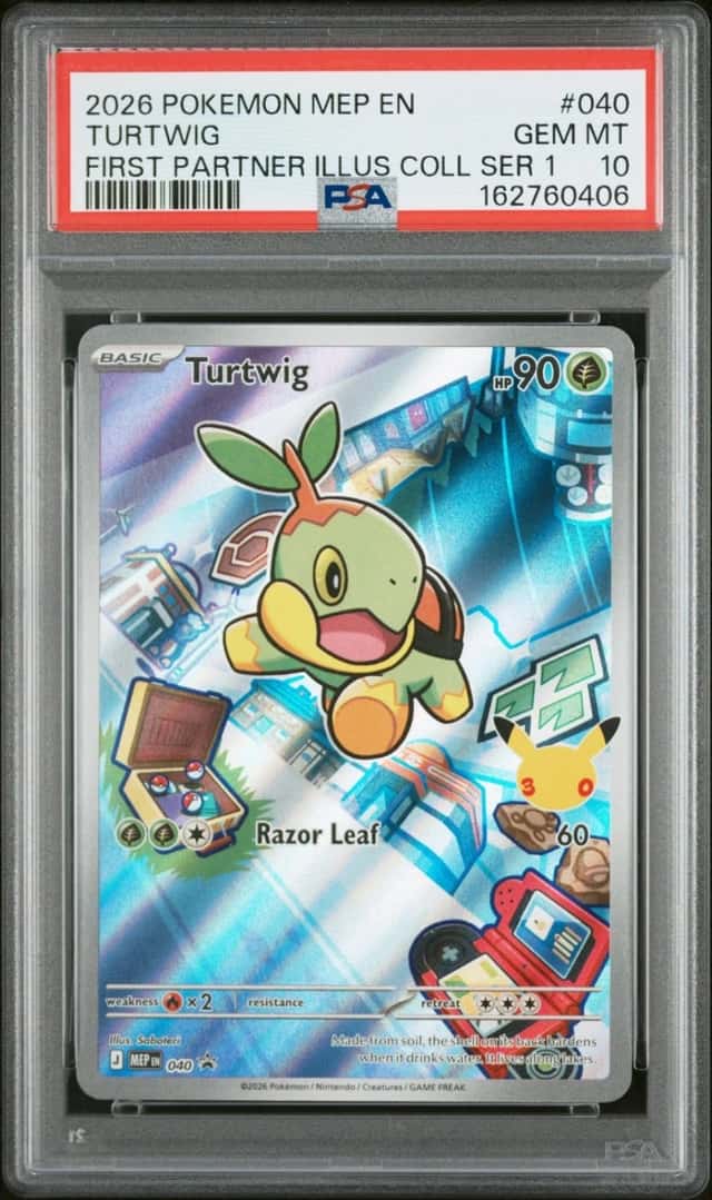 Turtwig