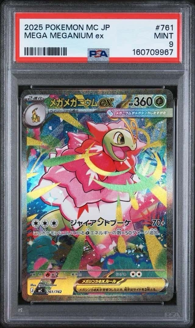 MEGA MEGANIUM ex
