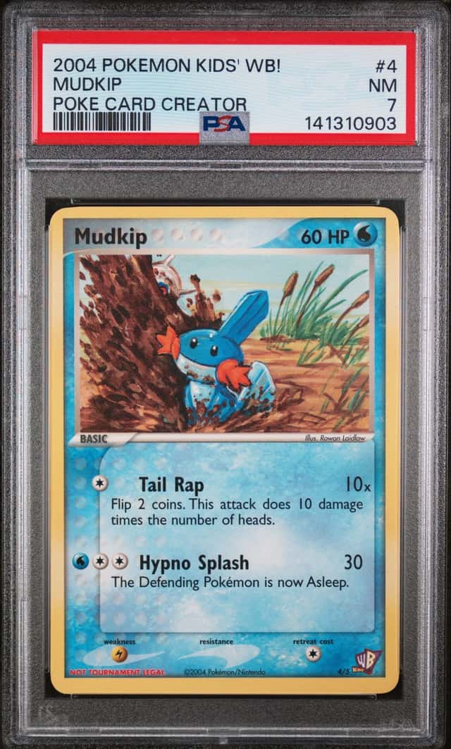 Mudkip