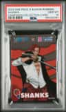 Shanks