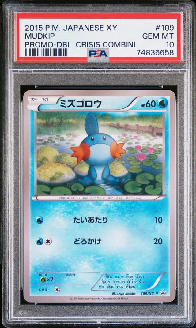 Mudkip