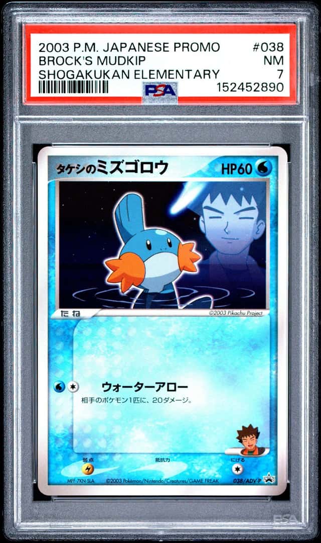 Brock's Mudkip