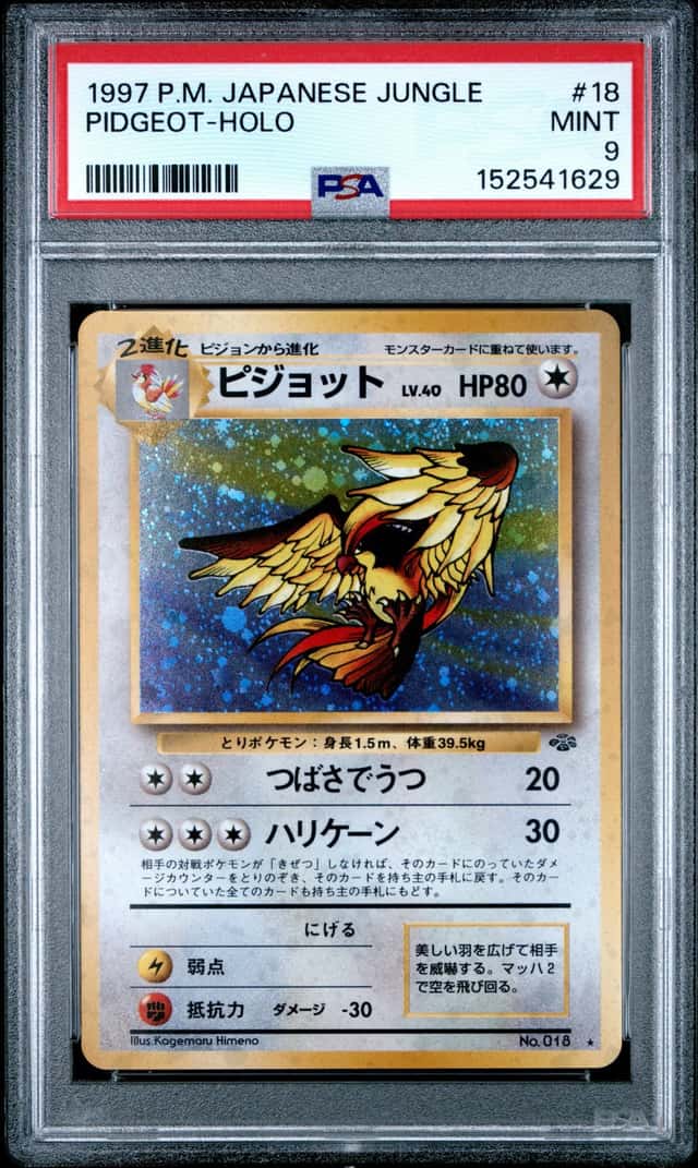 Pidgeot