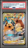 Raichu & Alolan Raichu Gx