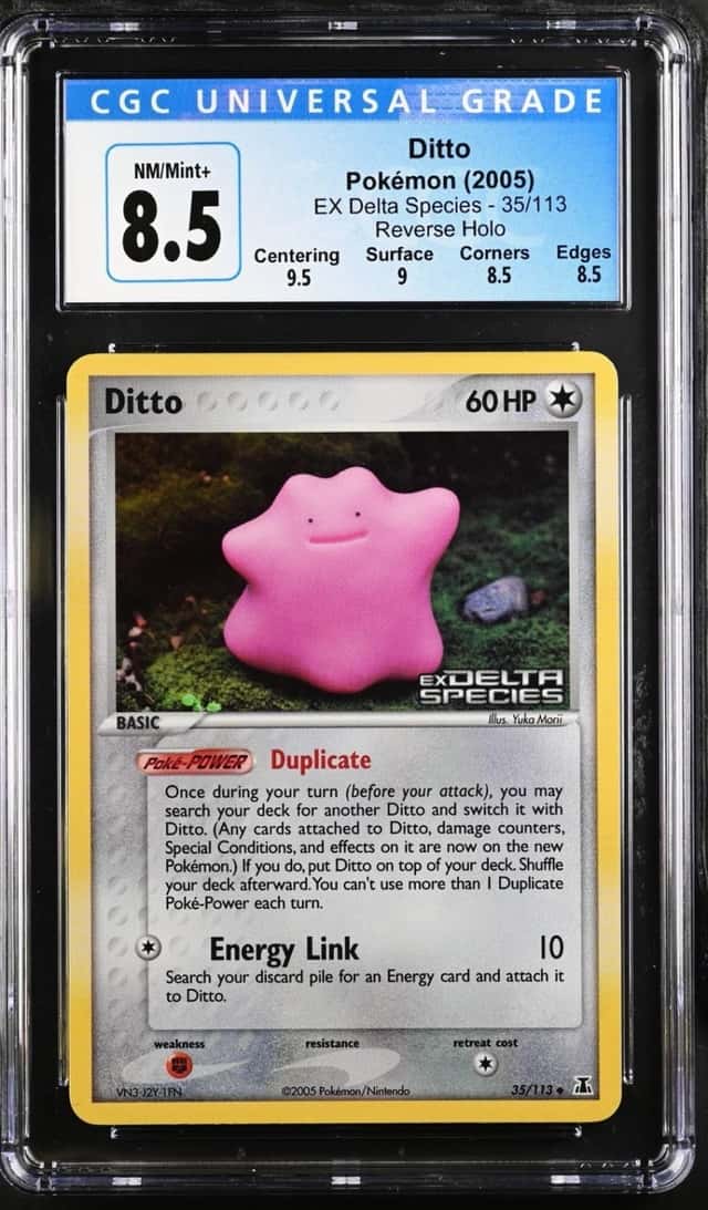 Ditto