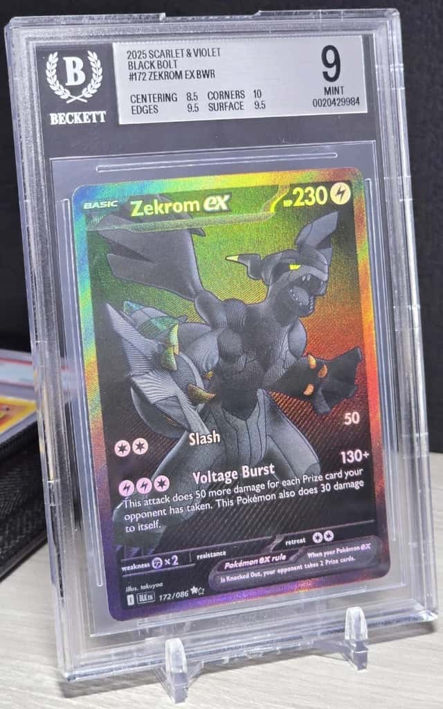 ZEKROM ex