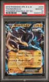 Thundurus Ex