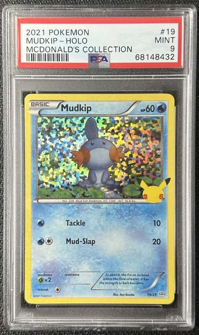 Mudkip
