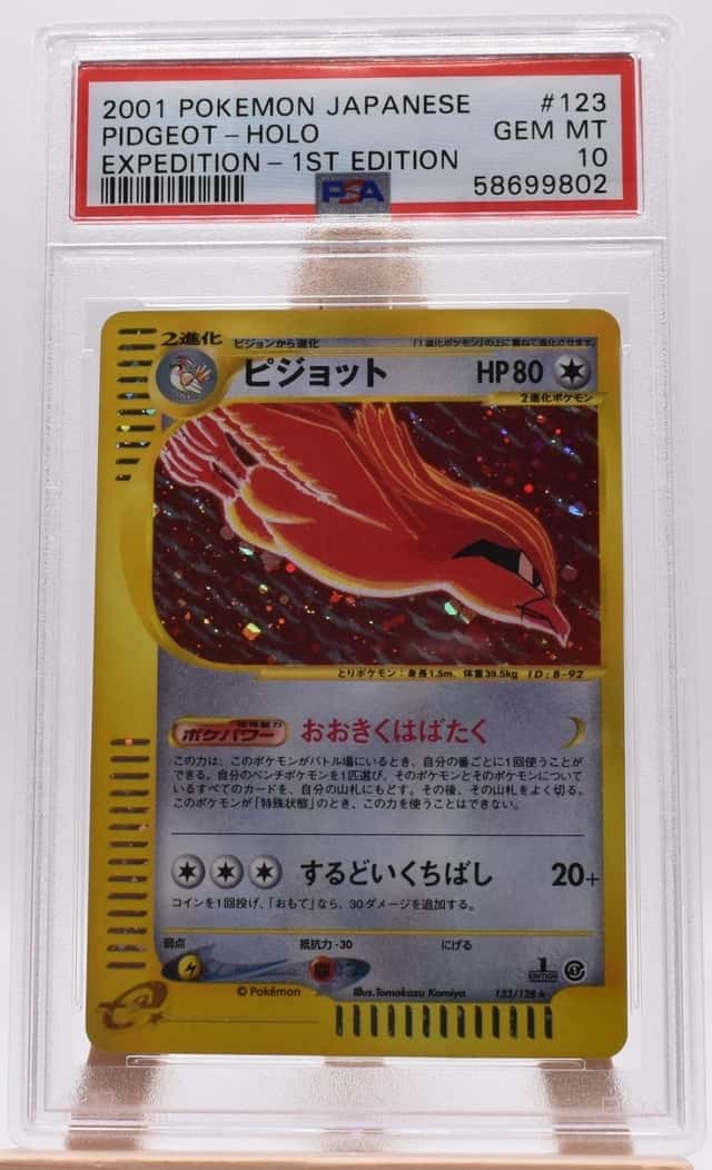 Pidgeot