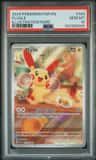 Plusle
