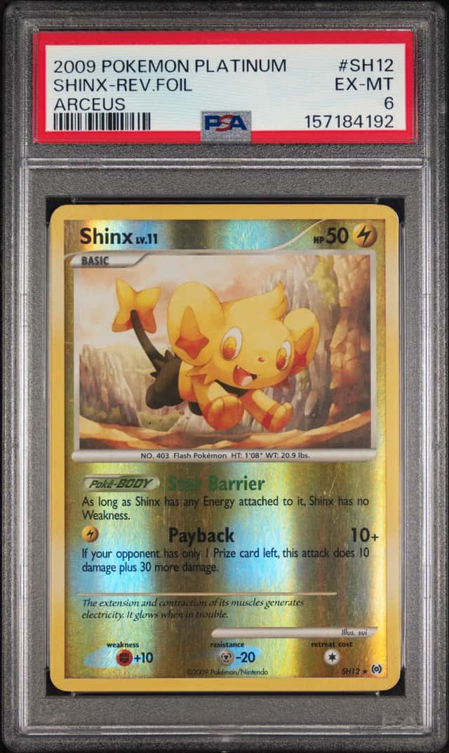 Shinx