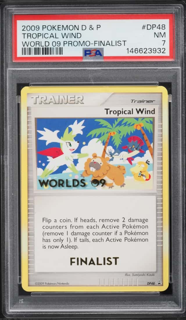 Tropical Wind