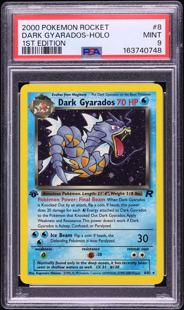 Dark Gyarados