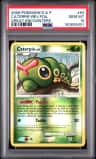 Caterpie
