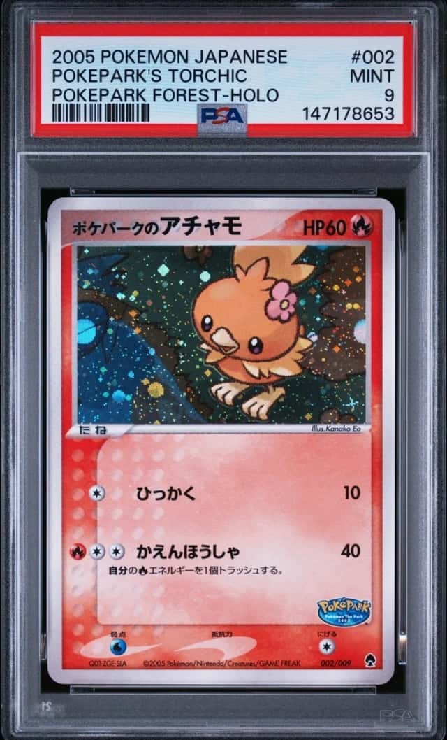 Pokepark's Torchic