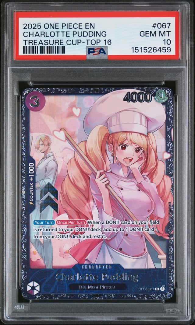 Charlotte Pudding