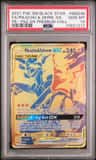 Pikachu & Zekrom Gx