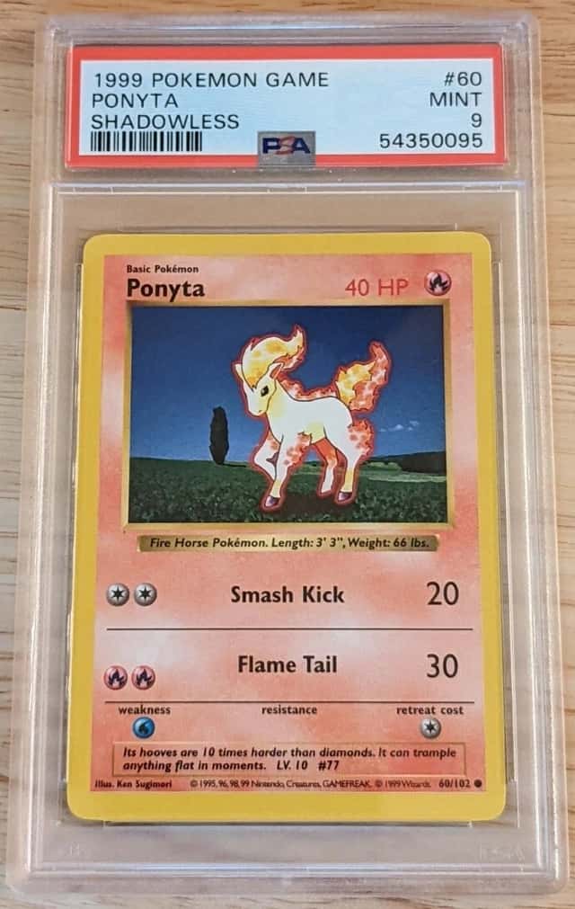 Ponyta