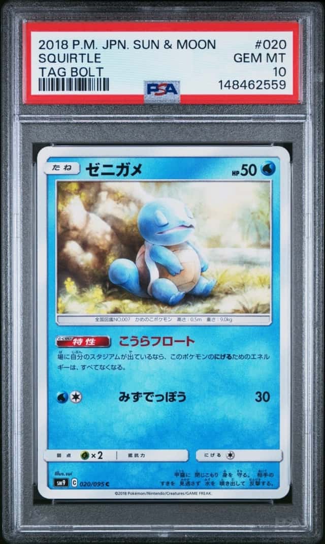 Squirtle