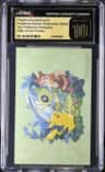 Pikachu/celebi/furret