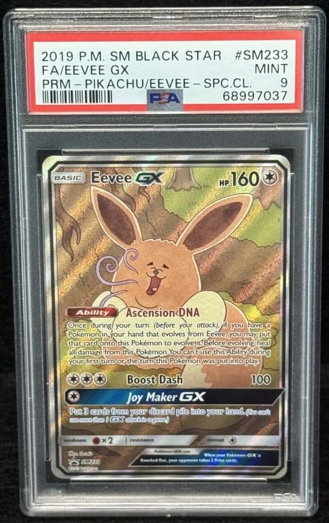 Eevee GX